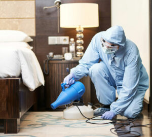 desinfecciones hoteles Bilbao