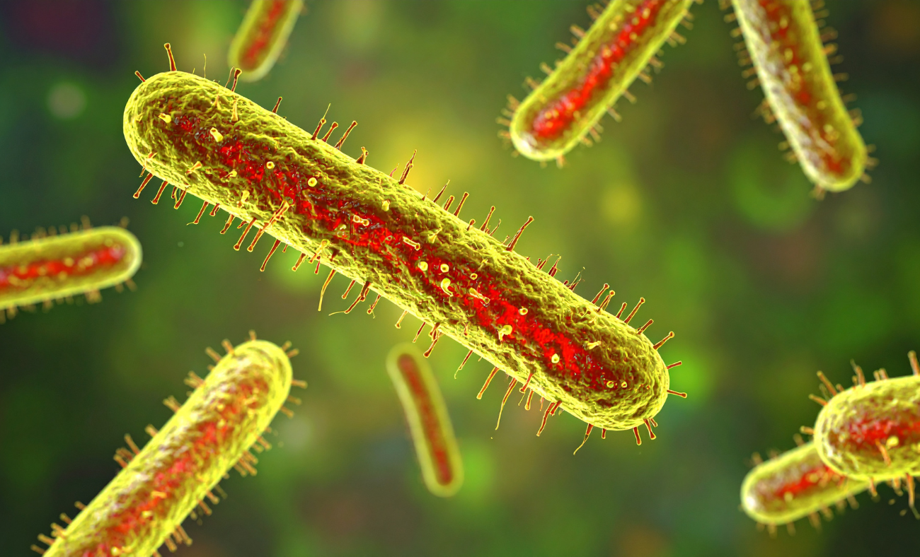 prevención de legionella en Bilbao